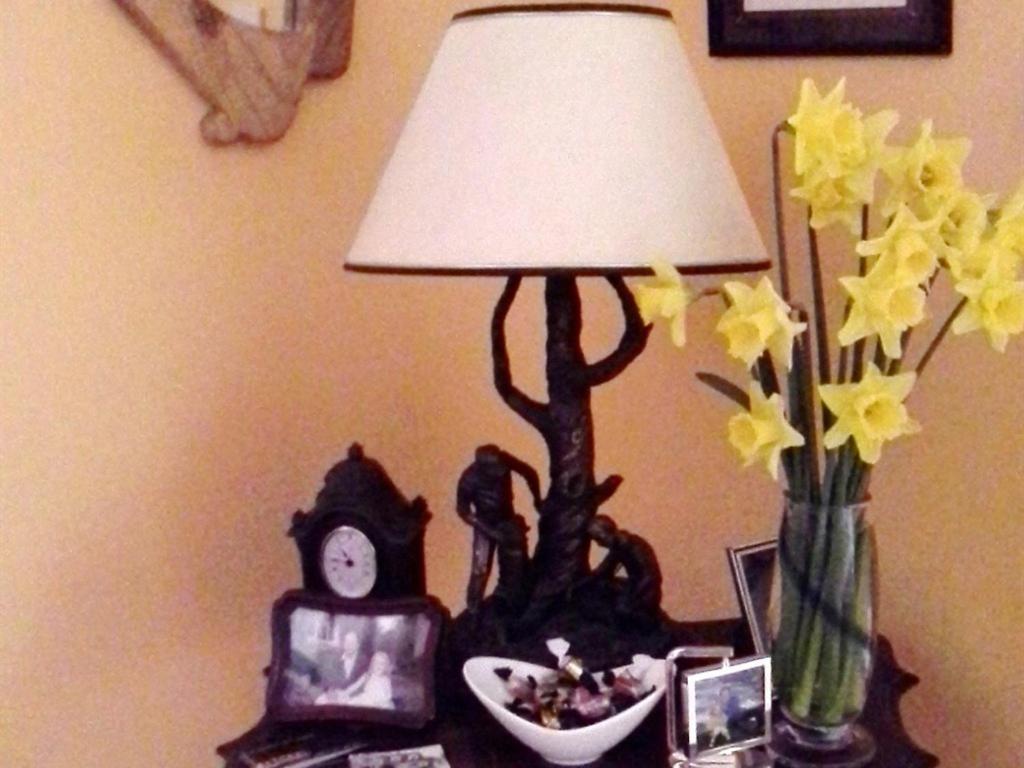 كيلالوي Blossom Hill Bed And Breakfast المظهر الخارجي الصورة